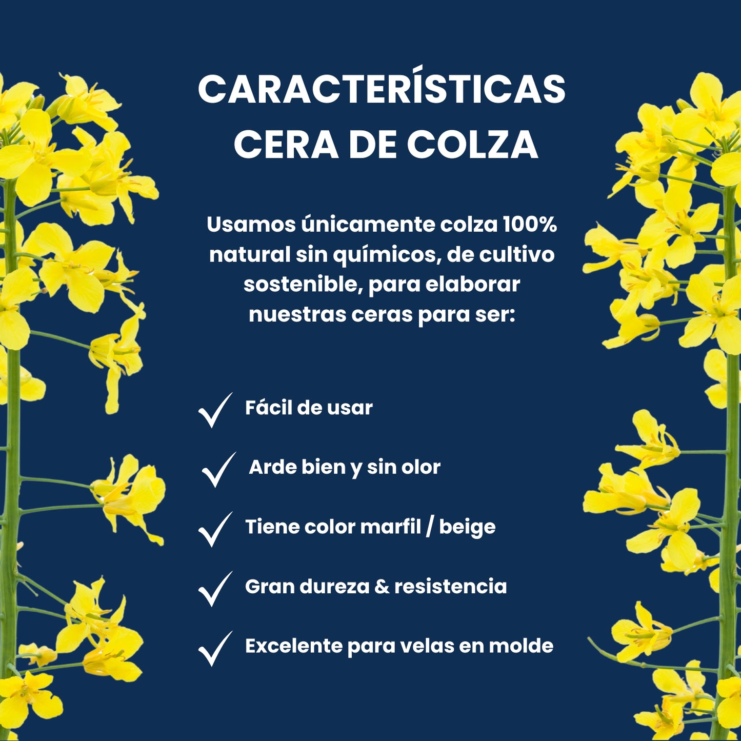 Cera de Colza